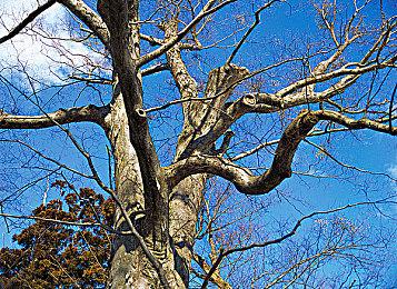 《真人快打1》7分钟实机 9月19日发售